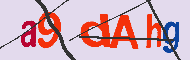 Captcha認証コード