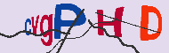 Captcha認証コード