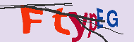 Captcha認証コード