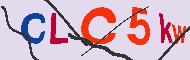 Captcha認証コード