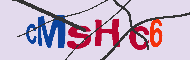 Captcha認証コード