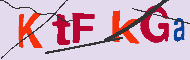 Captcha認証コード