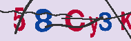 Captcha認証コード