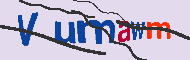 Captcha認証コード