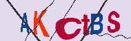 Captcha認証コード