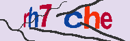 Captcha認証コード