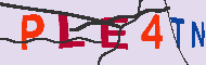 Captcha認証コード