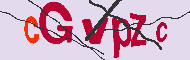 Captcha認証コード